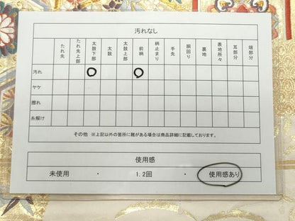 平和屋着物◎六通柄袋帯 唐織 亀甲花文 金銀糸 引箔 正絹 逸品 CAAS4042qe