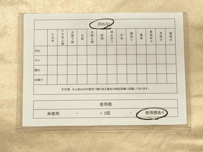 平和屋着物◎太鼓柄袋帯 総駒刺繍 鏡裏吉祥花文 金糸 引箔 正絹 逸品 CAAS4739ft