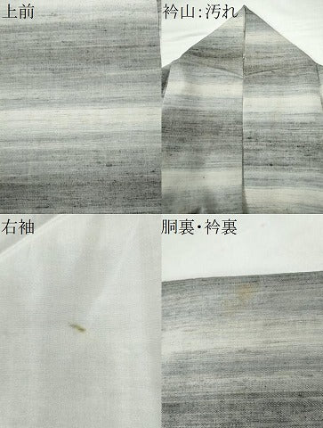 平和屋着物●上質な紬　霞文　正絹　逸品　CAAS6719yc