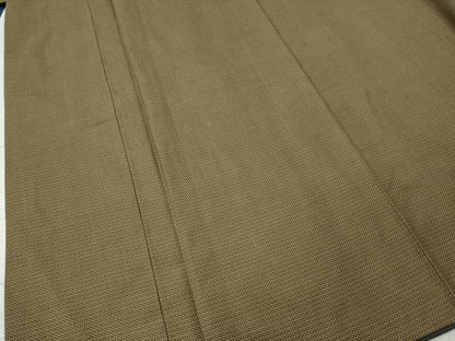 平和屋着物●男性 お召 アンサンブル 100亀甲 キングサイズ 正絹 逸品 CAAS6892yc