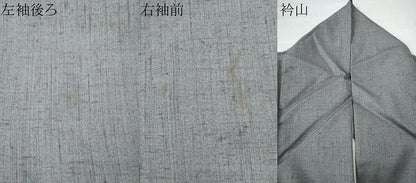 平和屋着物●訪問着 作家物 紬地 陶器草花文 金彩 正絹 逸品 CAAS7073yc