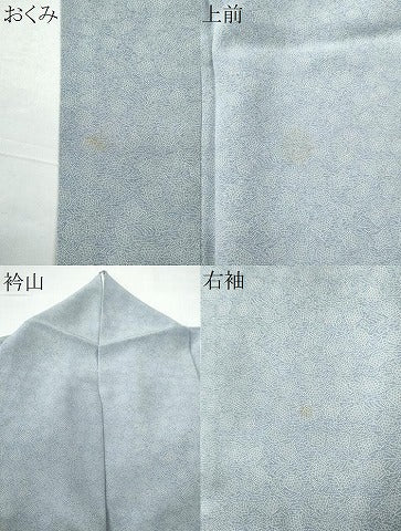 平和屋着物●江戸小紋 寺山存男作 吉祥小紋柄 正絹 逸品 CAAS7297yc