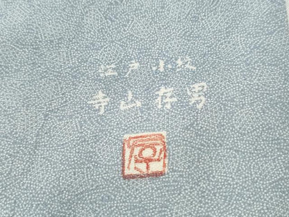 平和屋着物●江戸小紋 寺山存男作 吉祥小紋柄 正絹 逸品 CAAS7297yc