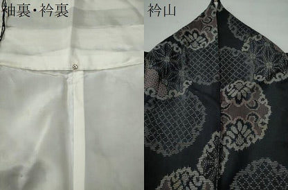 平和屋着物●上質な紬 雪輪吉祥花唐草文 黒地 正絹 逸品 CAAS7309yc