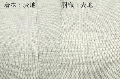 平和屋着物●男性　本場大島紬　白大島　アンサンブル　泊清勇作　100亀甲　総詰め　キングサイズ　証紙付き　正絹　逸品　CAAS8406vf