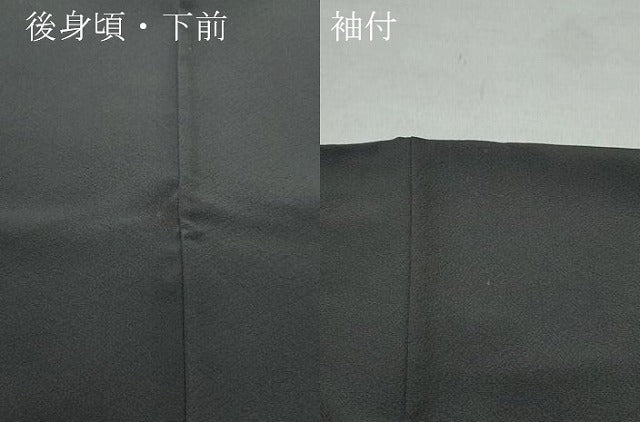 平和屋着物●訪問着 立波花鳥文 金彩 正絹 逸品 CAAS8528vf