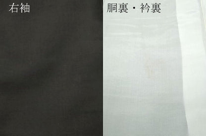 平和屋着物●本場大島紬 9マルキ 地空き 牡丹 正絹 逸品 未使用 CAAS8560vf