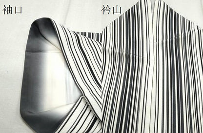 平和屋着物●上質な小紋 縞 ますいわ屋扱い 正絹 逸品 CAAS9229th