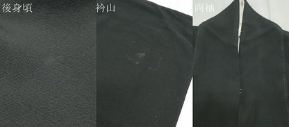 平和屋着物●豪華黒留袖 友禅 作家物 遠山風景文 正絹 逸品 CAAS9235th