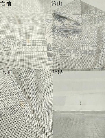 平和屋着物●本場大島紬 白大島 9マルキ 格子風景文 正絹 逸品 CAAS9248th