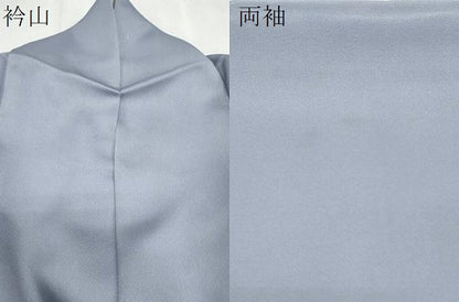 平和屋着物●創業460年・千總　豪華色留袖　駒刺繍　流水枝花文　金彩　松坂屋扱い　正絹　逸品　CAAS9287th