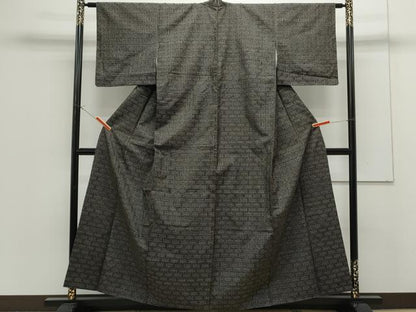 平和屋着物●本場大島紬　龍郷絣　秋名バラ　正絹　逸品　CAAS9289th