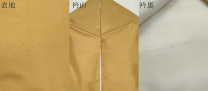 平和屋着物●訪問着 本場染大島紬 南天文 正絹 逸品 CAAS9364th