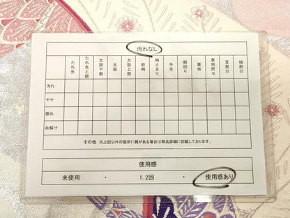 平和屋着物◎六通柄袋帯 孔雀文 銀糸 正絹 逸品 CAAT0119ft