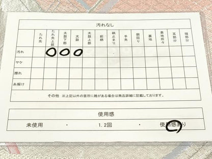 平和屋着物◎佐賀錦 六通柄袋帯 切嵌文 銀糸 正絹 逸品 CAAT0409dy