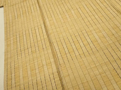 平和屋着物▽上質な紬 単衣 立涌文 正絹 逸品 CAAT0767dy