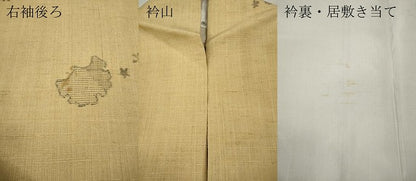 平和屋着物▽生紬 単衣 雪輪花文 正絹 逸品 CAAT4113ut