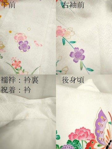 平和屋着物[]お宮参り　女の子　祝着　産着　初着　のしめ　花車舞蝶文　暈し染め　金彩　洗える着物　CAAT6195ze