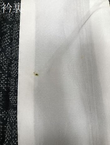 平和屋着物▽上質な紬 単衣 舞菊文 正絹 逸品 CAAT6564xi