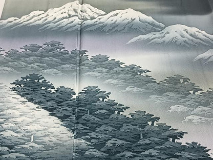 平和屋着物▽訪問着　単衣　作家物　遠山文　暈し染め　正絹　逸品　CAAT6623xi
