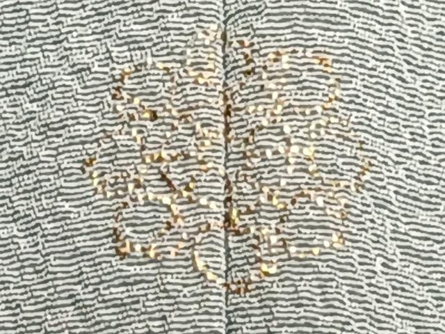 平和屋着物▽中国三大刺繍　スワトウ刺繍　訪問着　単衣　総刺繍　花菱文　やまと誂製　正絹　逸品　CAAT6631xi