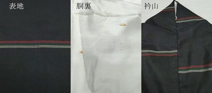平和屋着物●本場縞大島紬　横段文　正絹　逸品　CAAT7017vf