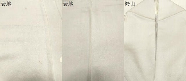 平和屋着物▽訪問着 単衣 地紙草花文 暈し染め そごう百貨店扱い 正絹 逸品 CAAT9510dy