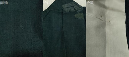 平和屋着物▽上質な紬 単衣 地紙文 正絹 逸品 CAAT9516dy