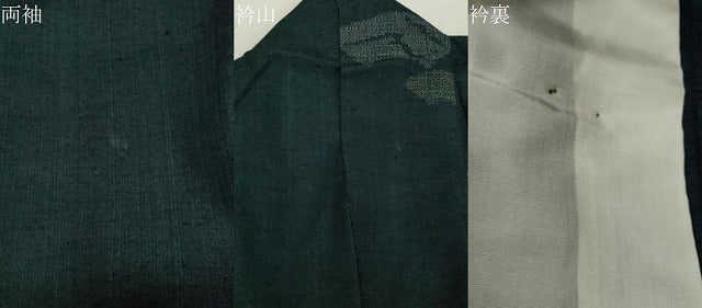 平和屋着物▽上質な紬 単衣 地紙文 正絹 逸品 CAAT9516dy