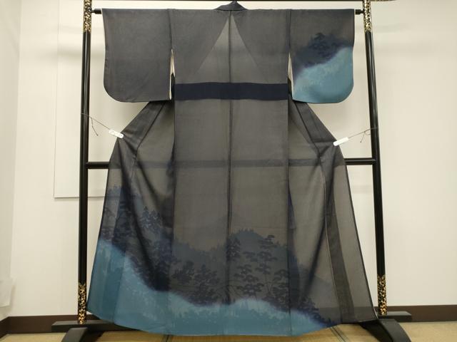 平和屋着物▽訪問着 無双 紗袷 紋紗×紗 風景文 正絹 逸品 CAAT9526dy
