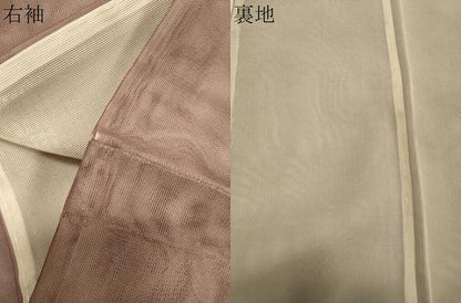 平和屋着物▽訪問着 無双 紗袷 紗×紗 草木文 金彩 正絹 逸品 CAAT9532dy