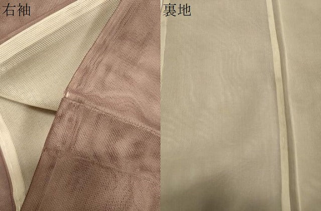 平和屋着物▽訪問着 無双 紗袷 紗×紗 草木文 金彩 正絹 逸品 CAAT9532dy