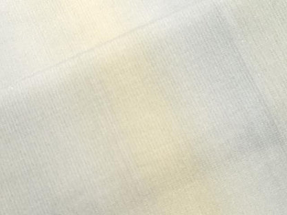 平和屋着物＊夏物 長襦袢 紗 縞 暈し染め 正絹 逸品 CAAT9568dy