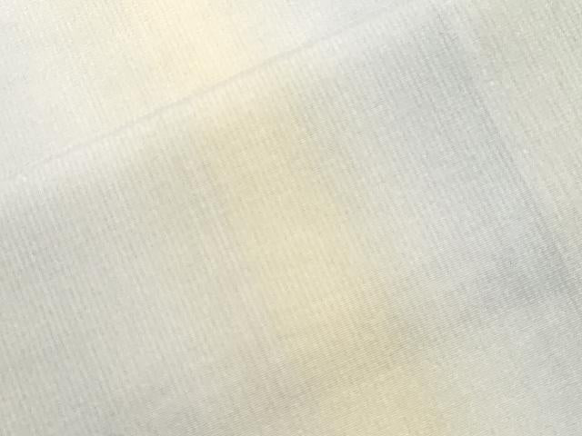 平和屋着物＊夏物 長襦袢 紗 縞 暈し染め 正絹 逸品 CAAT9568dy