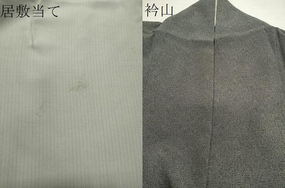平和屋着物＊夏物 江戸小紋 絽 鮫小紋柄 黒地 やまと誂製 正絹 逸品 CAAT9794gh