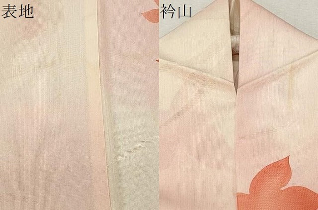 平和屋着物＊夏物 紗紬 草花紋紗正絹 逸品 CAAU0279ev