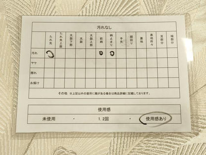 平和屋着物◎六通柄袋帯　唐織　孔雀羽文　銀糸　正絹　逸品　CAAU1320ft