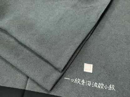 平和屋着物●江戸小紋　作家物　青海波鮫小紋　黒地　正絹　逸品　CABE2858yc