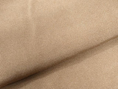 平和屋着物●江戸小紋 鮫小紋柄 正絹 逸品 CAAU2009yc