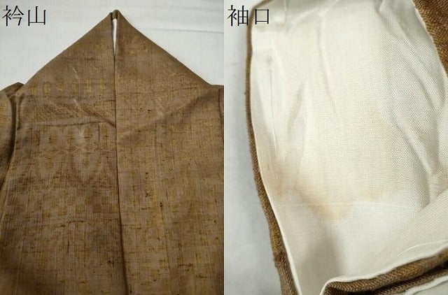 平和屋着物●訪問着　生紬　壁画文様　　正絹　逸品　CAAU2088yc