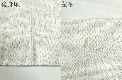 平和屋着物●上質な紬 吉祥花文 正絹 逸品 未使用 CAAU2129yc