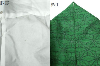 平和屋着物●上質な紬　麻の葉文様　正絹　逸品　CAAU2501yc