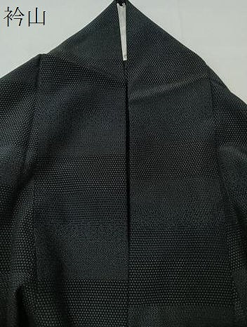 平和屋着物▽本塩沢 単衣 130亀甲 横段文 正絹 逸品 CAAU3789xi