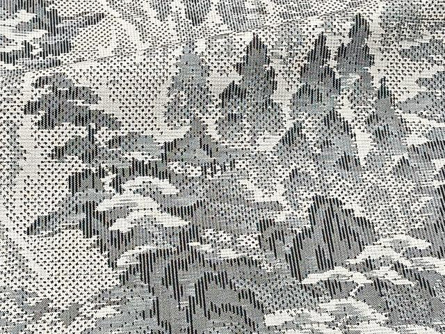 平和屋着物▽都喜ヱ門 本場大島紬 単衣 白大島 7マルキ 樹林文 総絣 藤絹織物謹製 正絹 逸品 CAAU3850xi