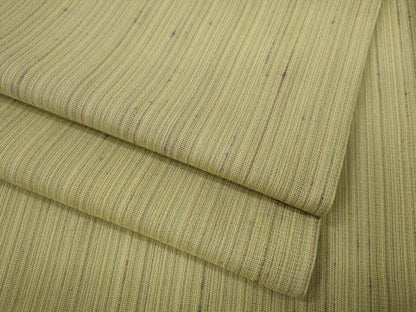 平和屋着物＊夏物 紗紬 縞 正絹 逸品 CAAU4598ut