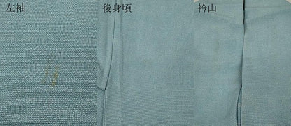 平和屋着物＊夏物 人間国宝 小宮康孝 色留袖 江戸小紋 絽 枝葉文 鮫小紋柄 三越扱い 正絹 逸品 CAAU4791ut