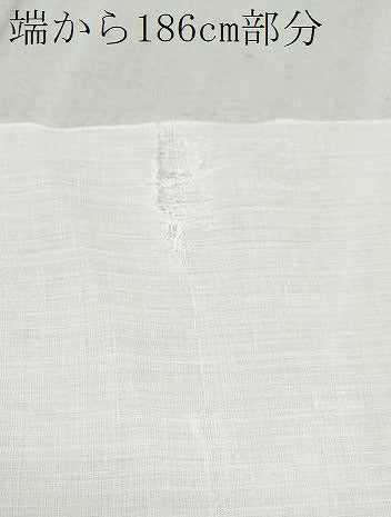 平和屋着物●夏物　越後上布　反物　着尺　苧麻　逸品　未使用　CAAU4840th