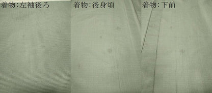 平和屋着物＊夏物 男性 色無地・長羽織セット 絽 着物:湊鼠色 羽織:銀鼠色 キングサイズ 洗える着物 CAAU5582vp