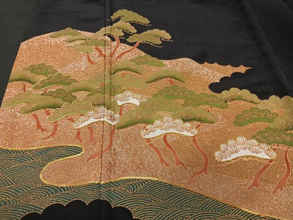 平和屋着物■豪華黒留袖　駒刺繍　浜松文　金彩　正絹　逸品　CAAU6582xe