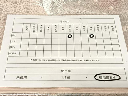 平和屋着物◎六通柄袋帯　唐織　孔雀文　銀糸　正絹　逸品　CAAU7187ua